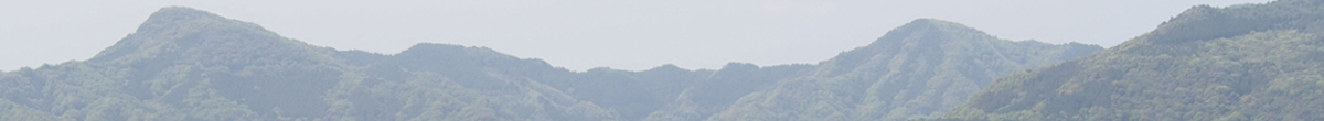 土